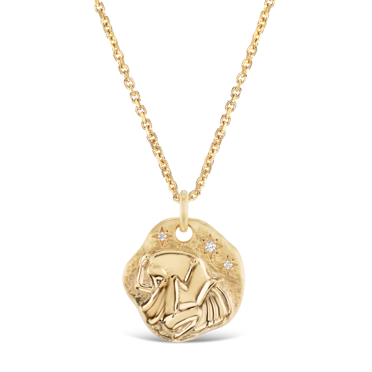 ★15ポンド新品★ゾディアックアクエリアス★ZODIAC AQUARIUS★ AARYAH | MINI ZODIAC MEDALLION