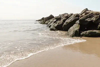 Steps Toward Sustainability