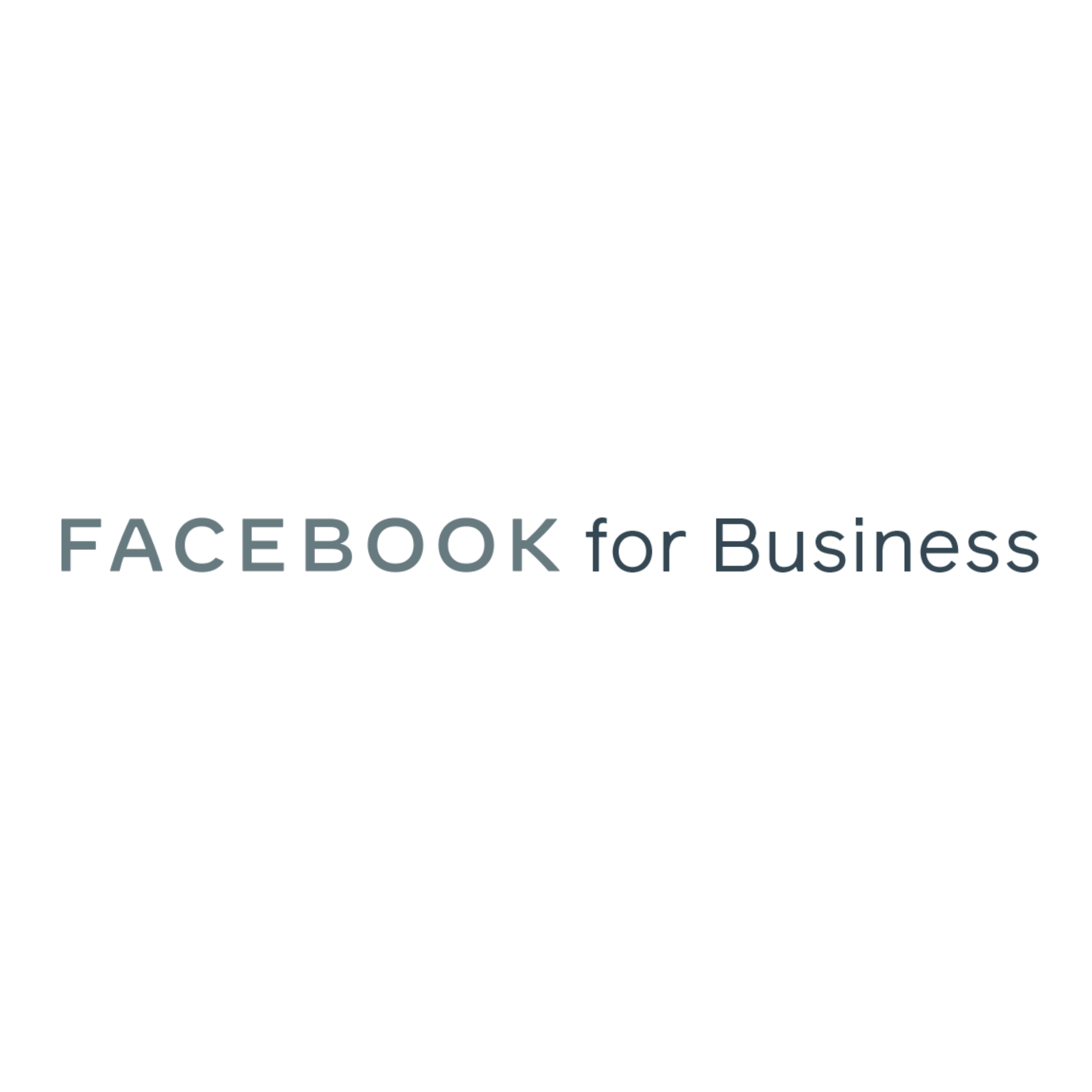 Facebook for Business: Small Business Support for Asian & Pacific Islander Businesses (API)
