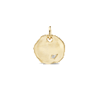 HONOR MEDALLION (Customizable)