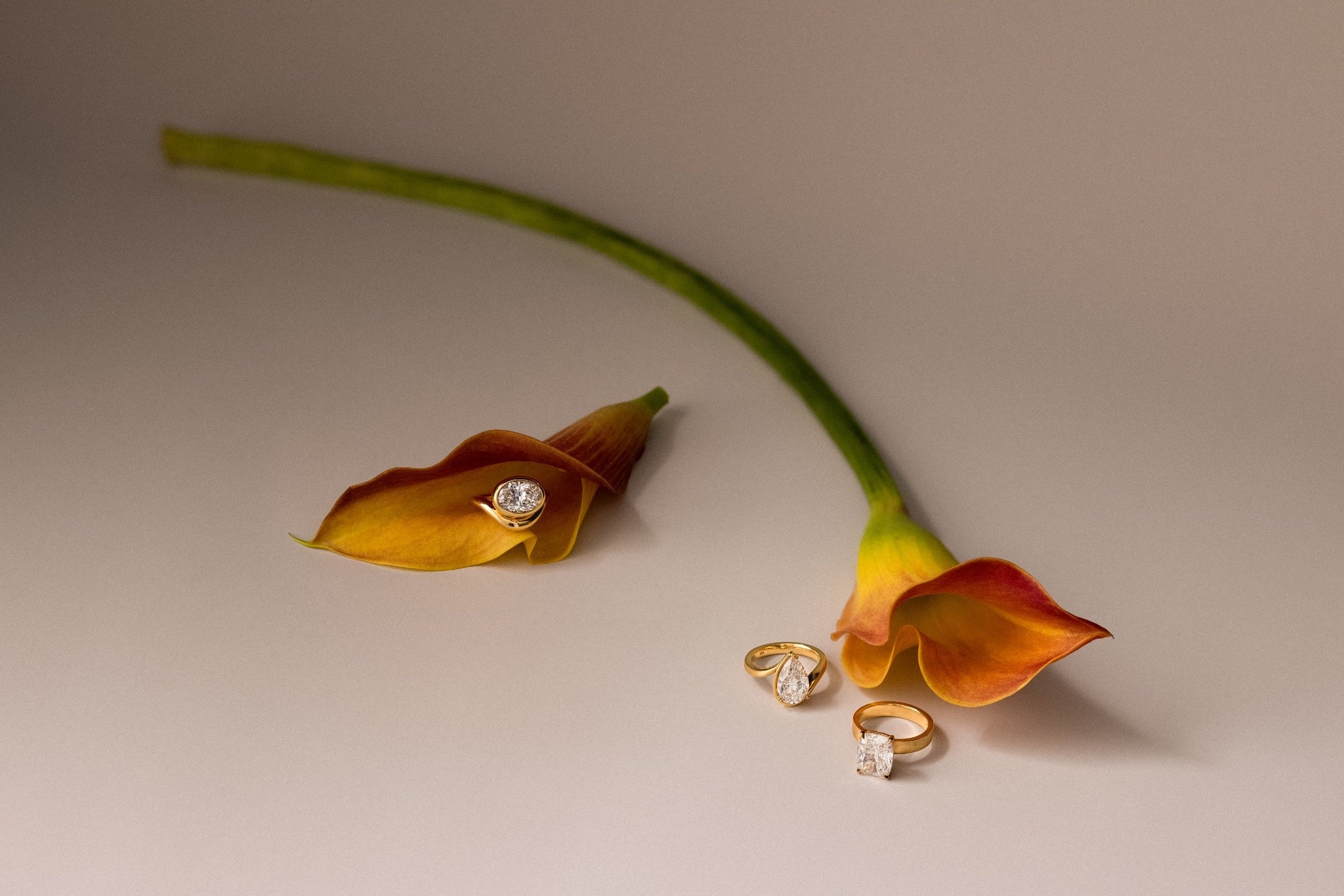 Spring Refresh Collection - Cover - Desktop