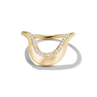 Zaria Band, front view