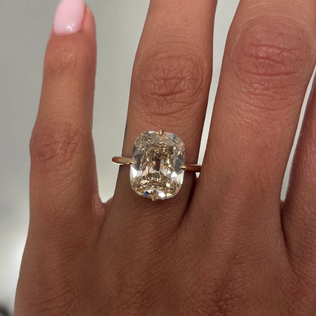 SOFIE 5.20, on hand, close up