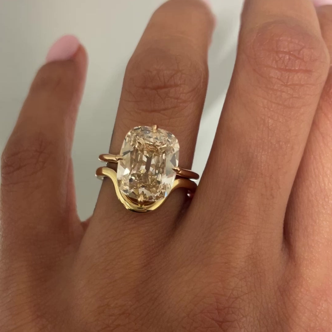 SOFIE 5.20, with band