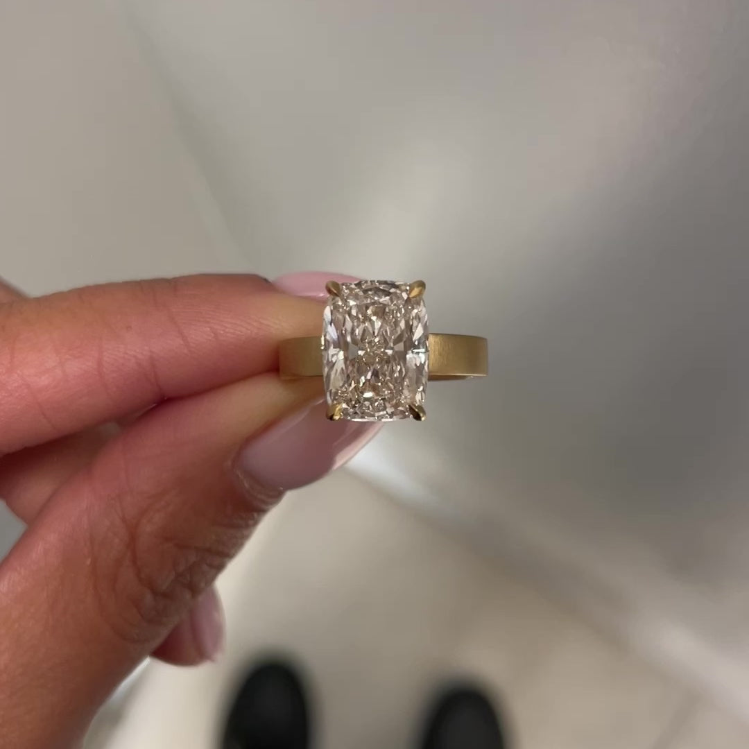 SELENE 5.05, close up