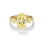 SURYA RING